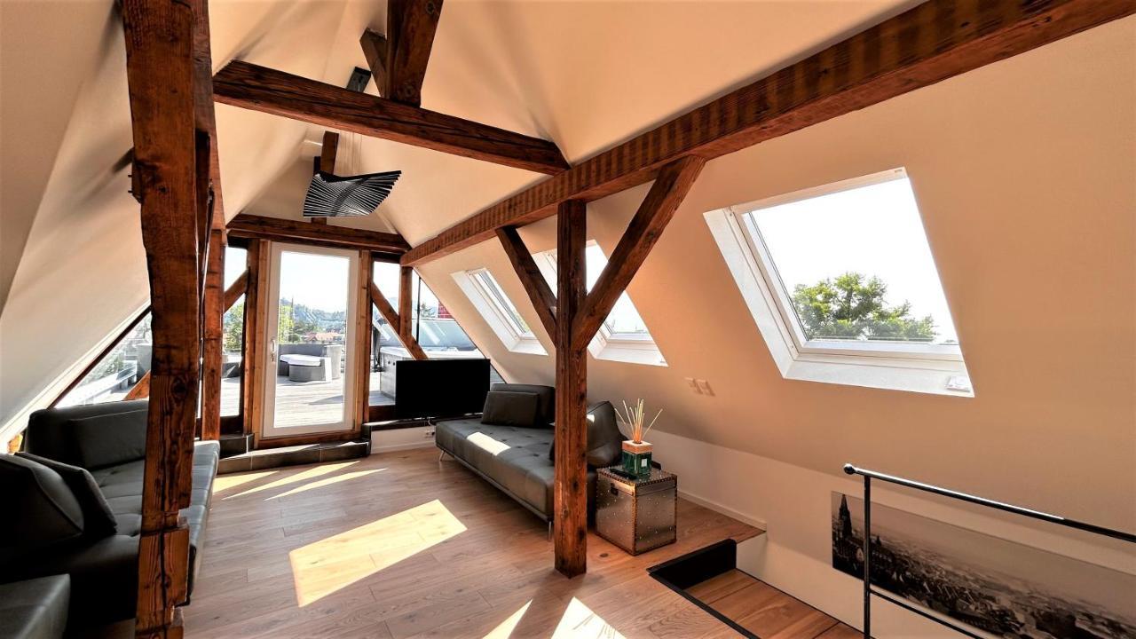 Historical Luxury Homes - Exclusive Selection Фрайбург Екстериор снимка